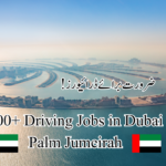 300+ Driving Jobs in Dubai Palm Jumeirah
