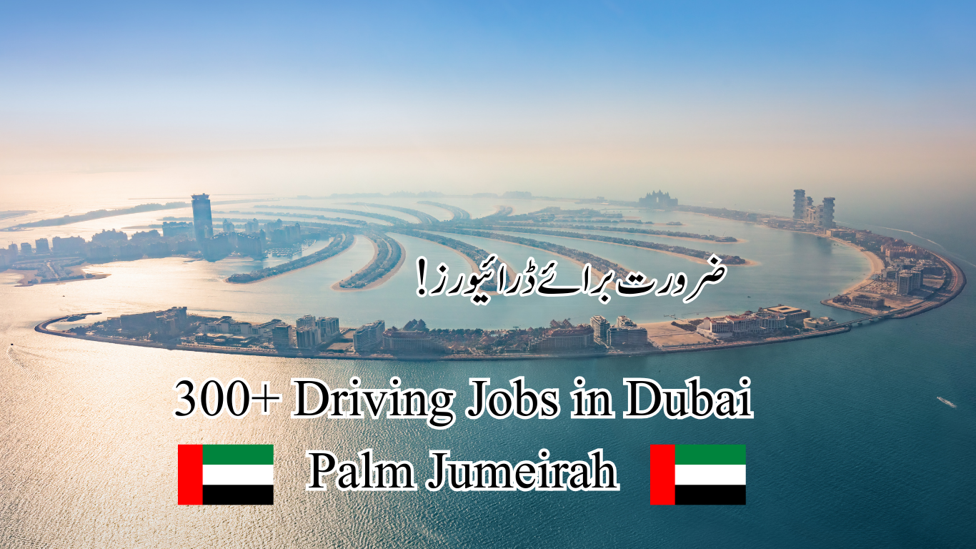 300+ Driving Jobs in Dubai Palm Jumeirah